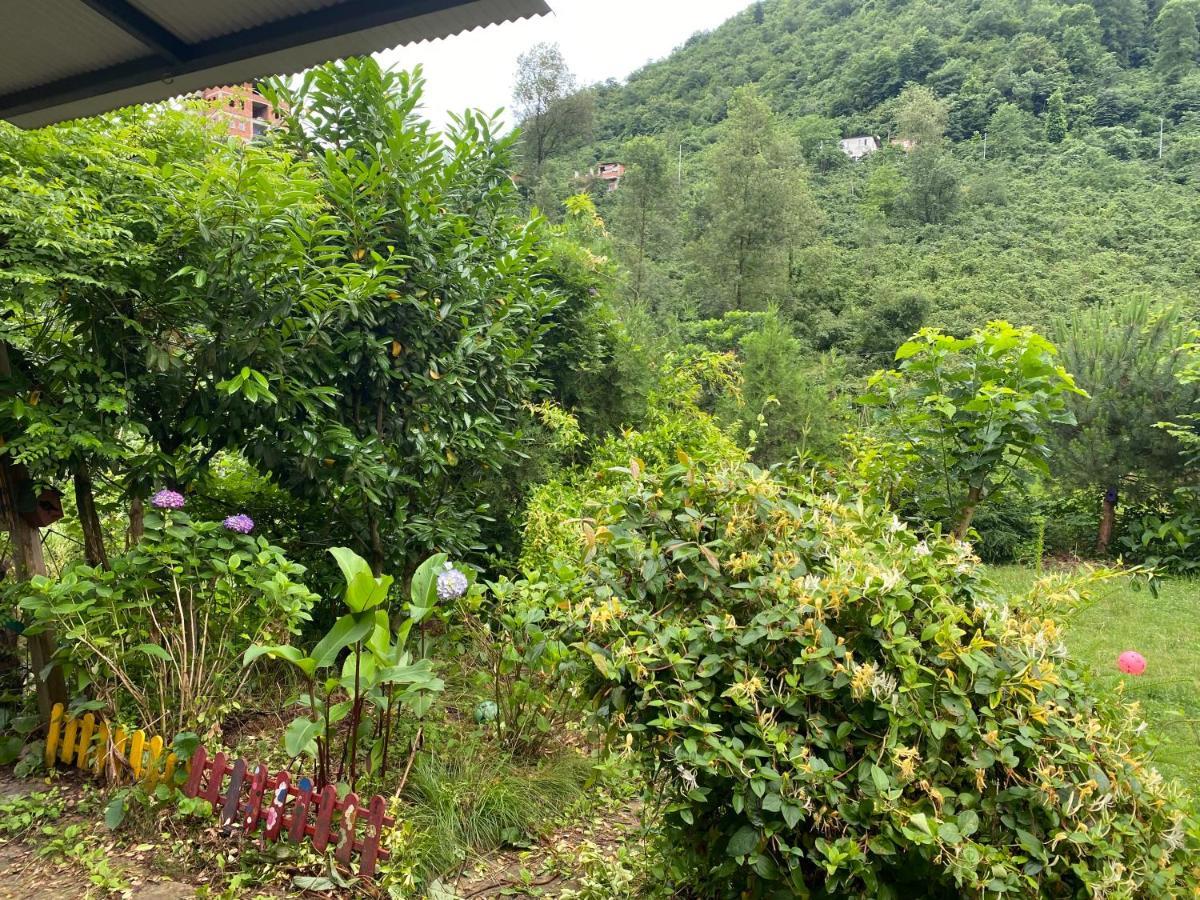 Doga Villa Yomra Екстер'єр фото